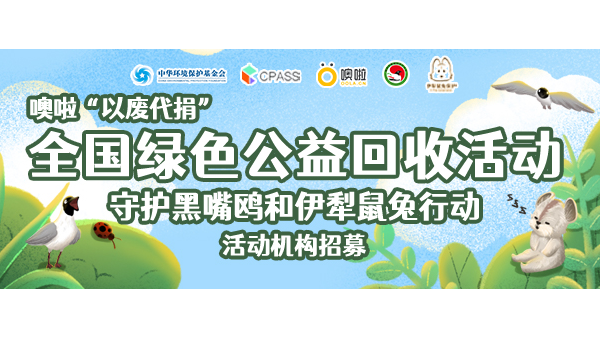 提供活动物料、设计稿、公益证书，开通旧衣服、旧书籍回收渠道，寻求回收活动执行方或宣传方