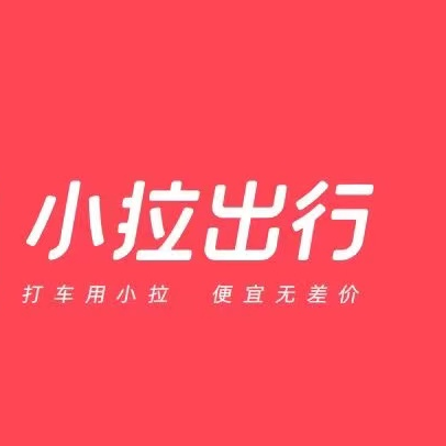 四川神州行网约车服务有限公司(东莞分公司)  