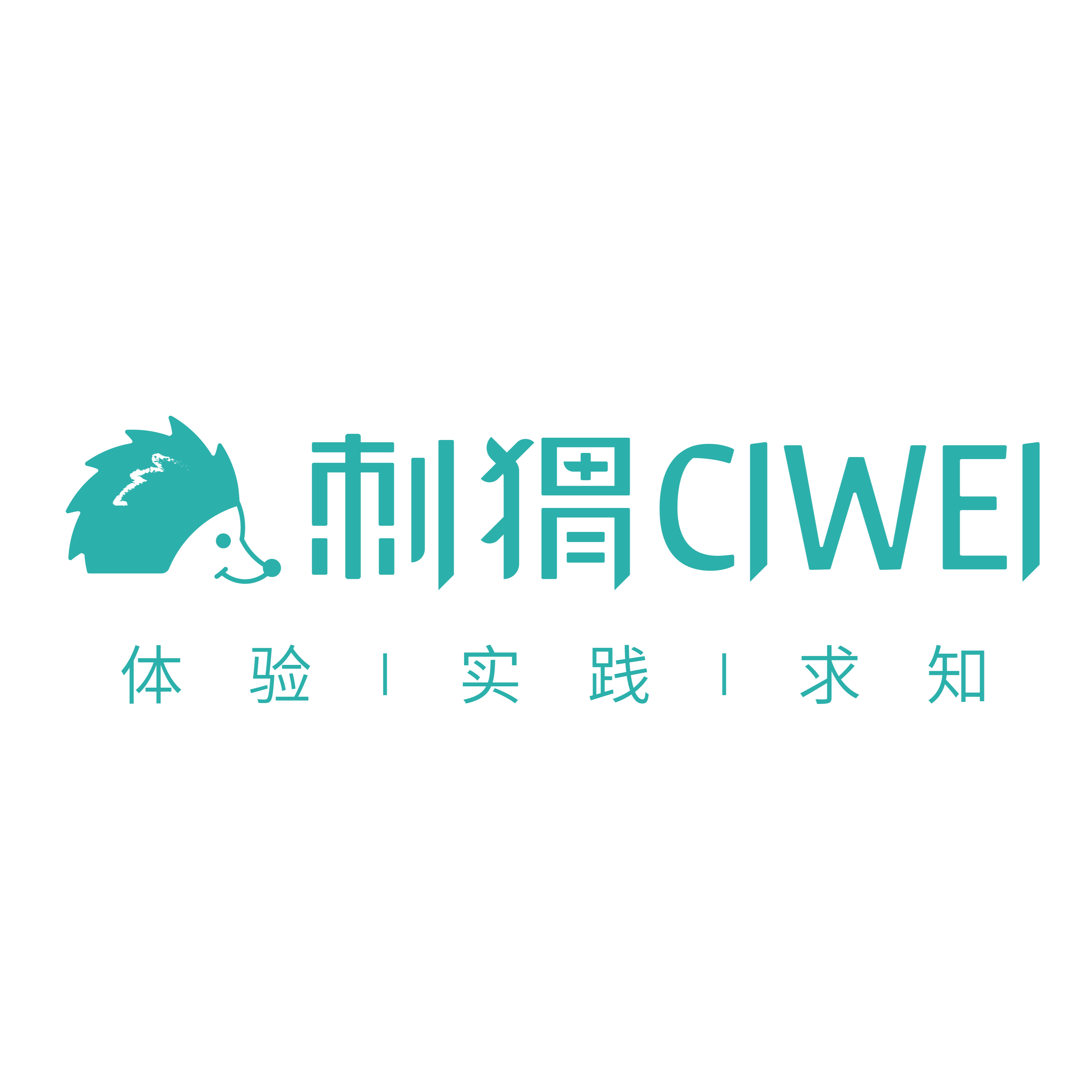 刺猬CIWEI