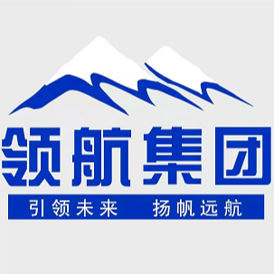 山东领航建设工程集团有限公司