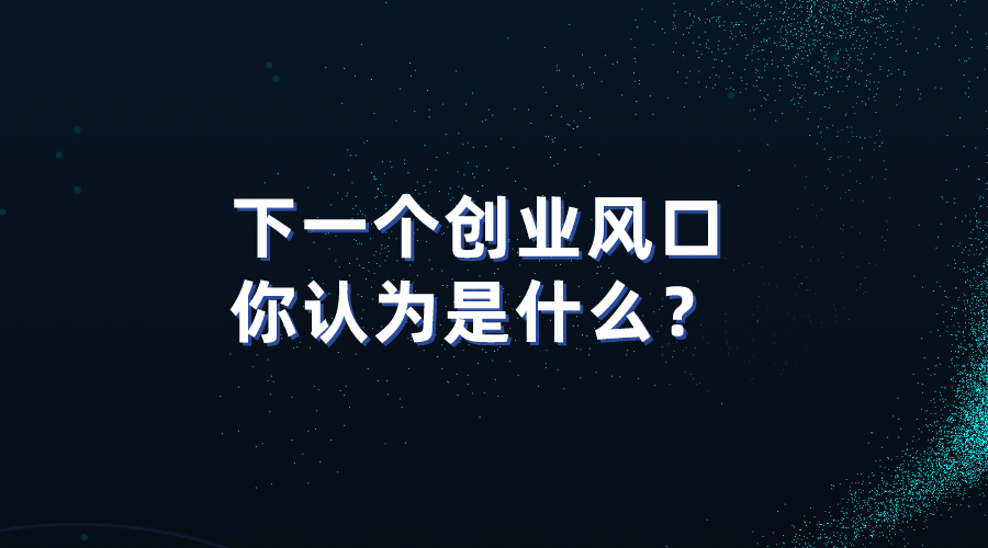 下一个创业风口你认为是什么？