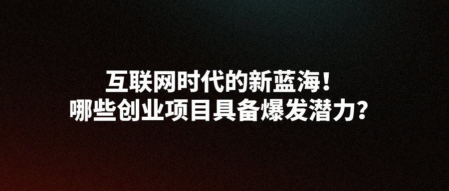 互联网时代的新蓝海！2024年哪些创业项目具备爆发潜力？