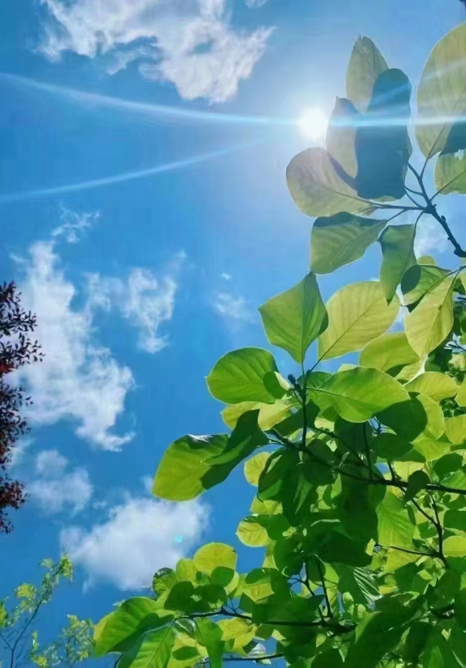 浏览广告视频，1部手机1天100-180，长期可做