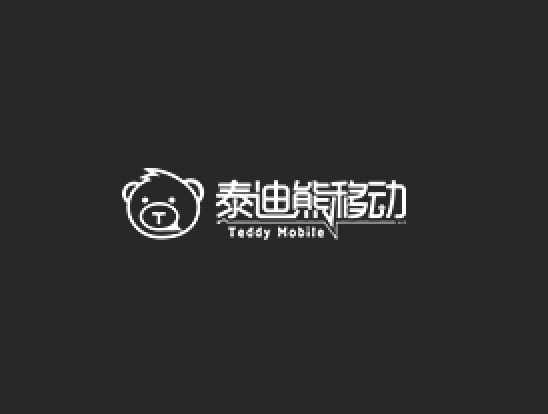 北京泰迪未来科技股份有限公司