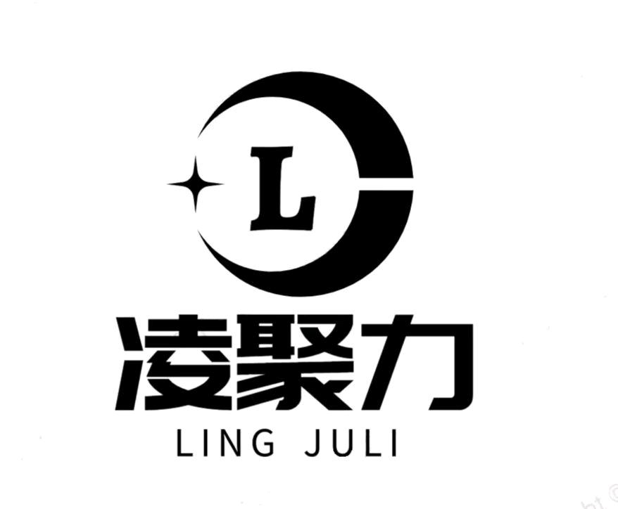 芜湖凌聚力网络科技有限公司