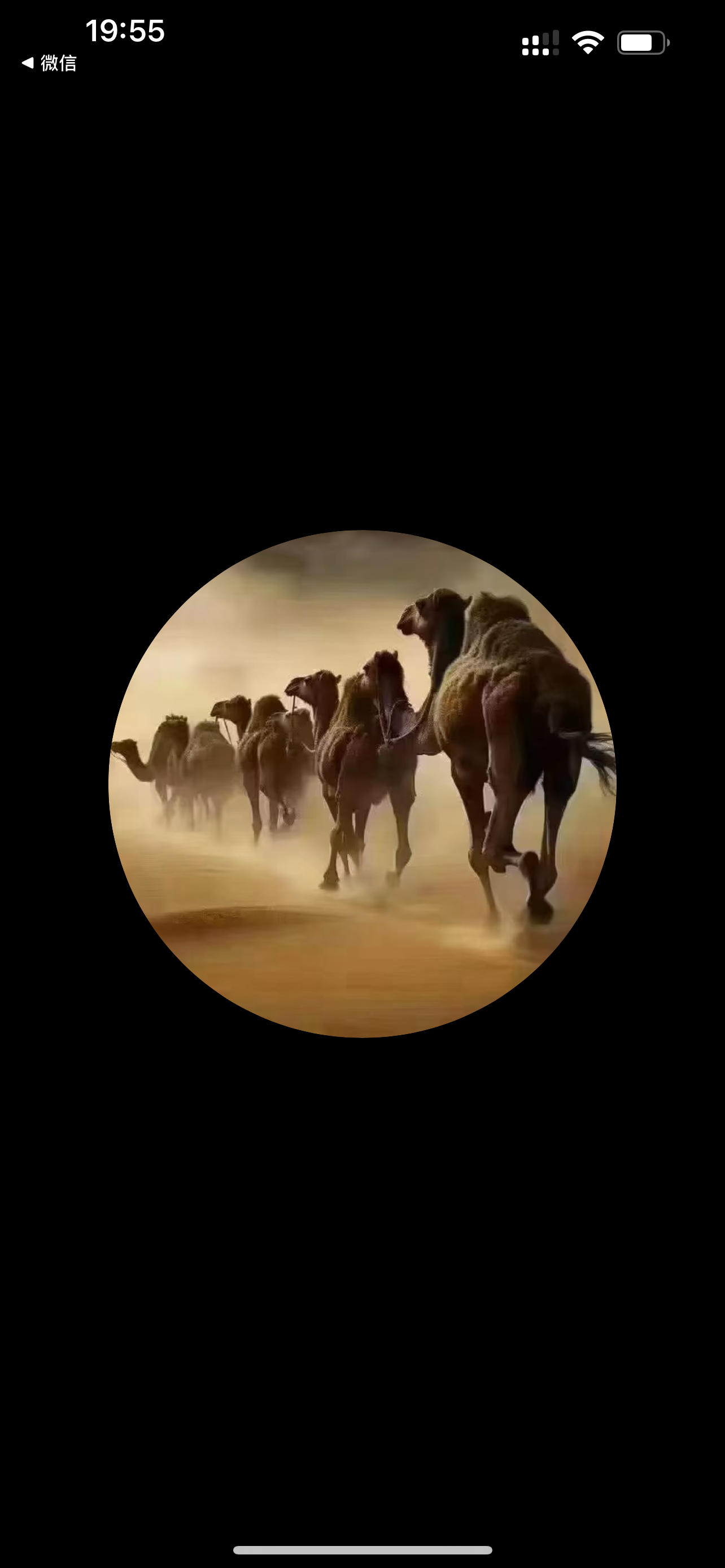 万喜科技