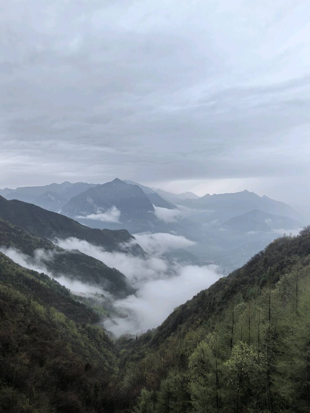 线上公司