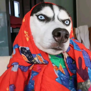 0000