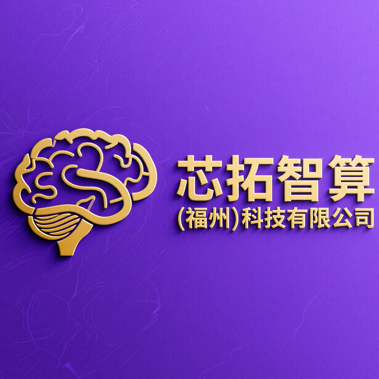 芯拓智算(福州)科技有限公司