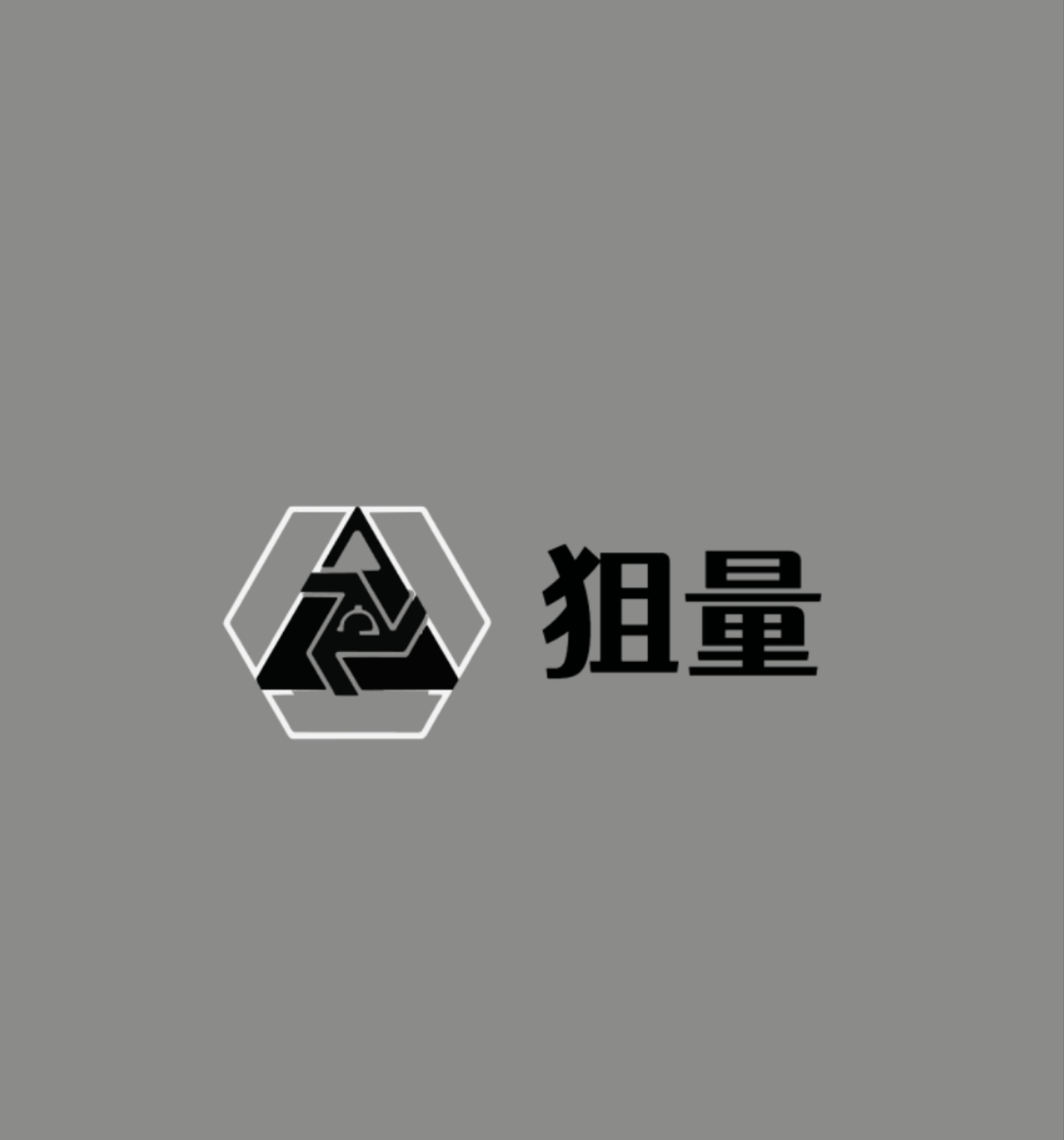 沙坪坝区狙量网络科技工作室