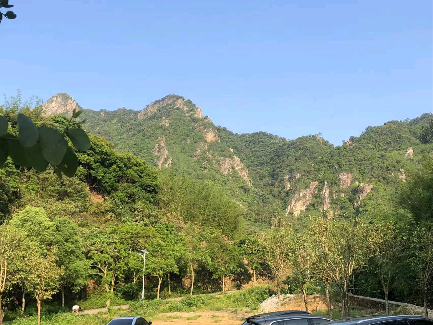 华中公司