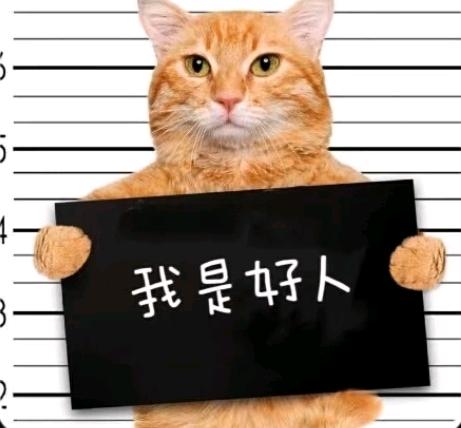 不得行公司