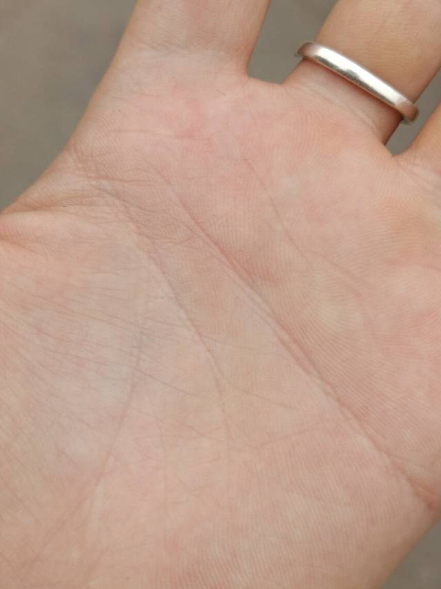 没有公司