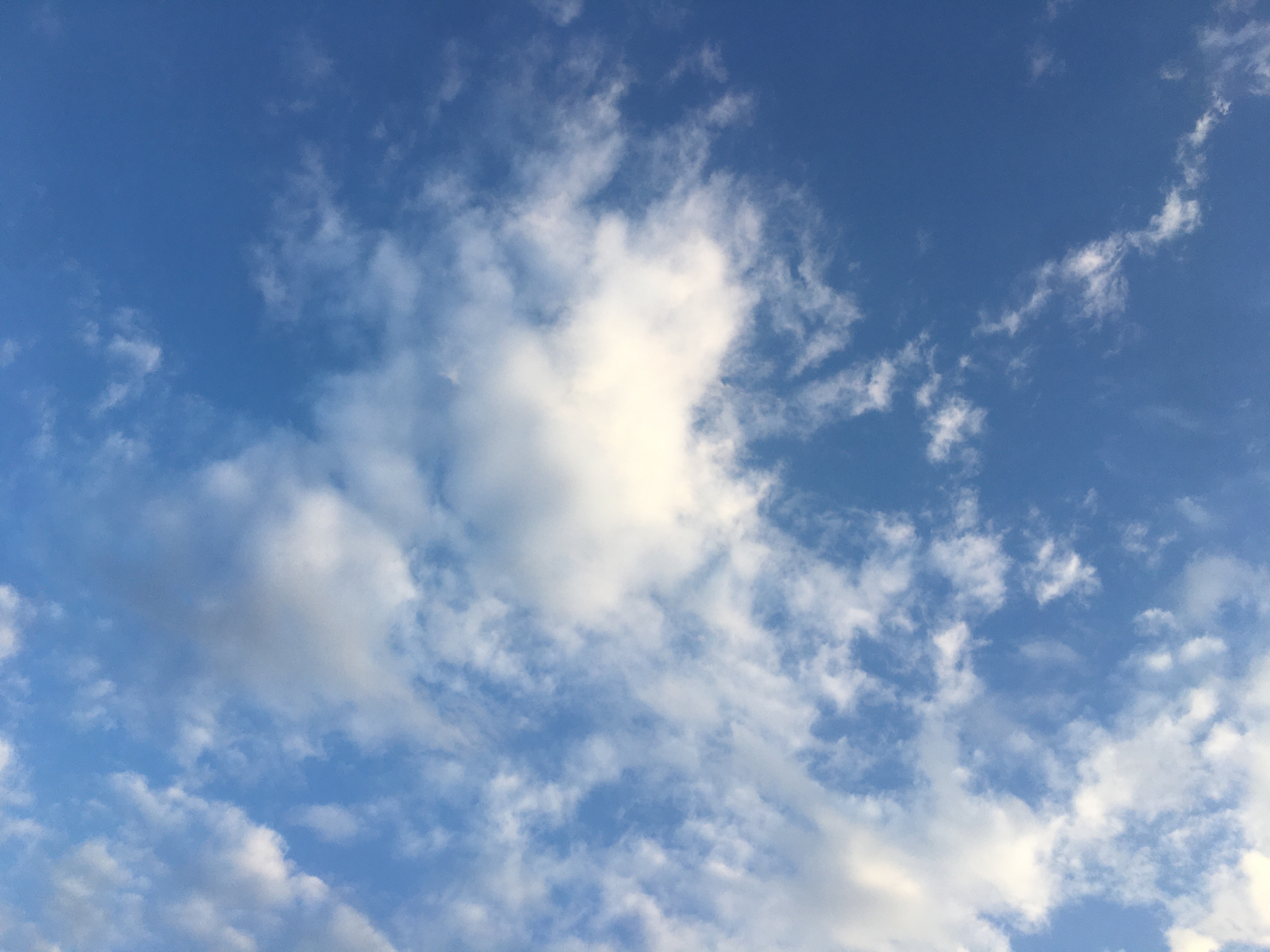 懒人项目，浏览器做任务，单日120+