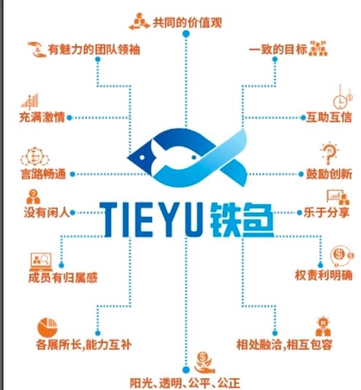 青岛铁鱼网络科技有限公司