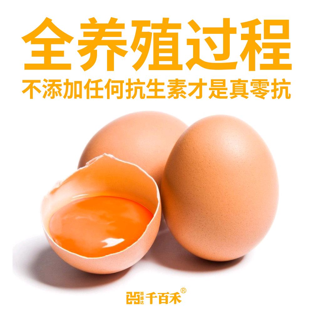 千百禾蒲苹无抗鸡蛋