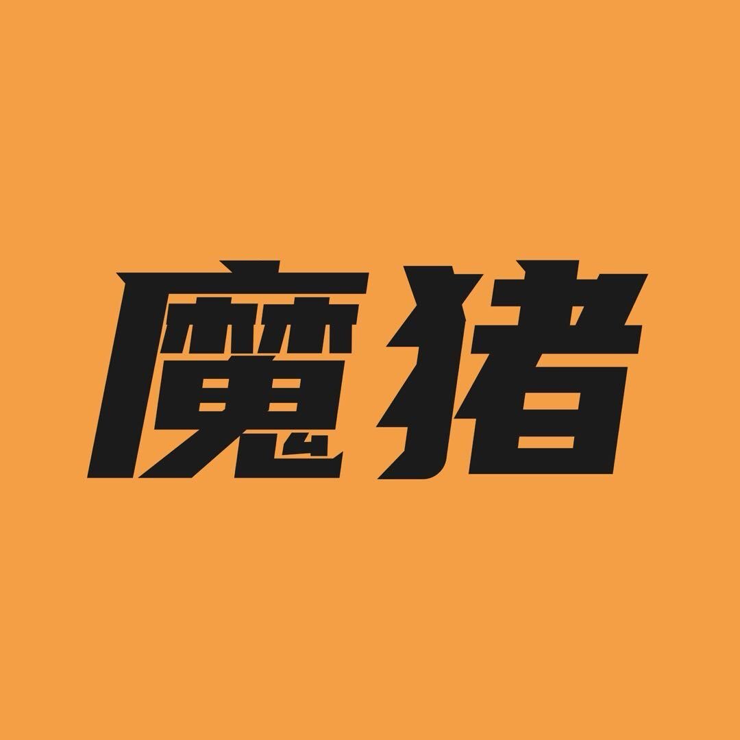 南宁魔猪科技有限公司