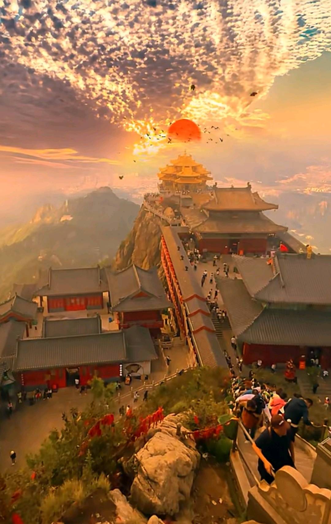 不想填