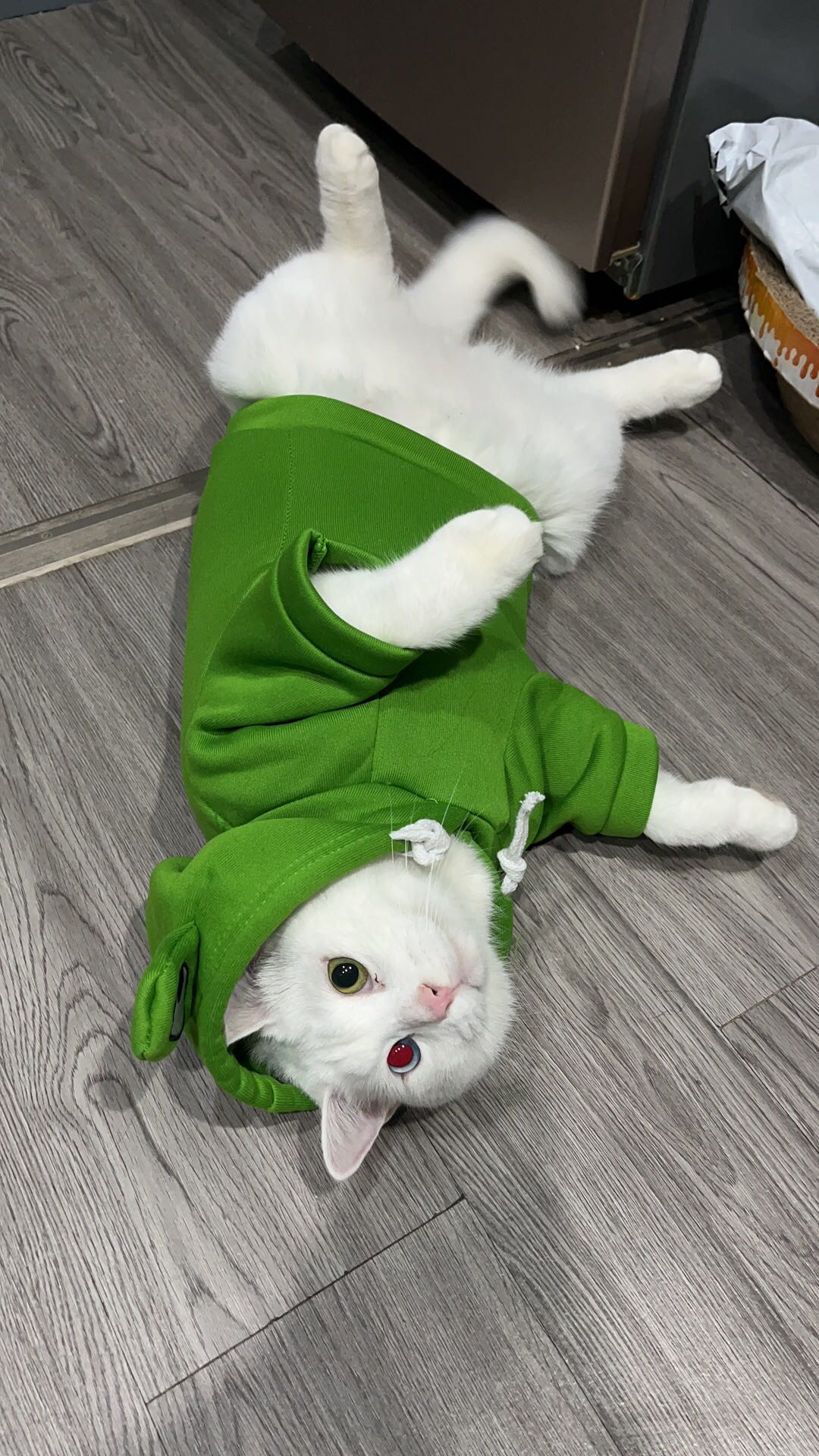 重庆罗塞淋