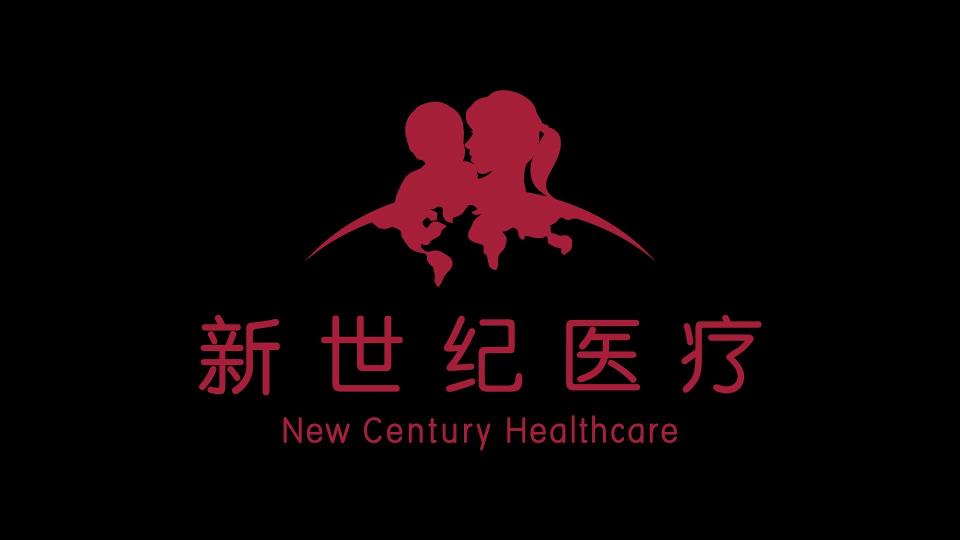 新世纪**集团