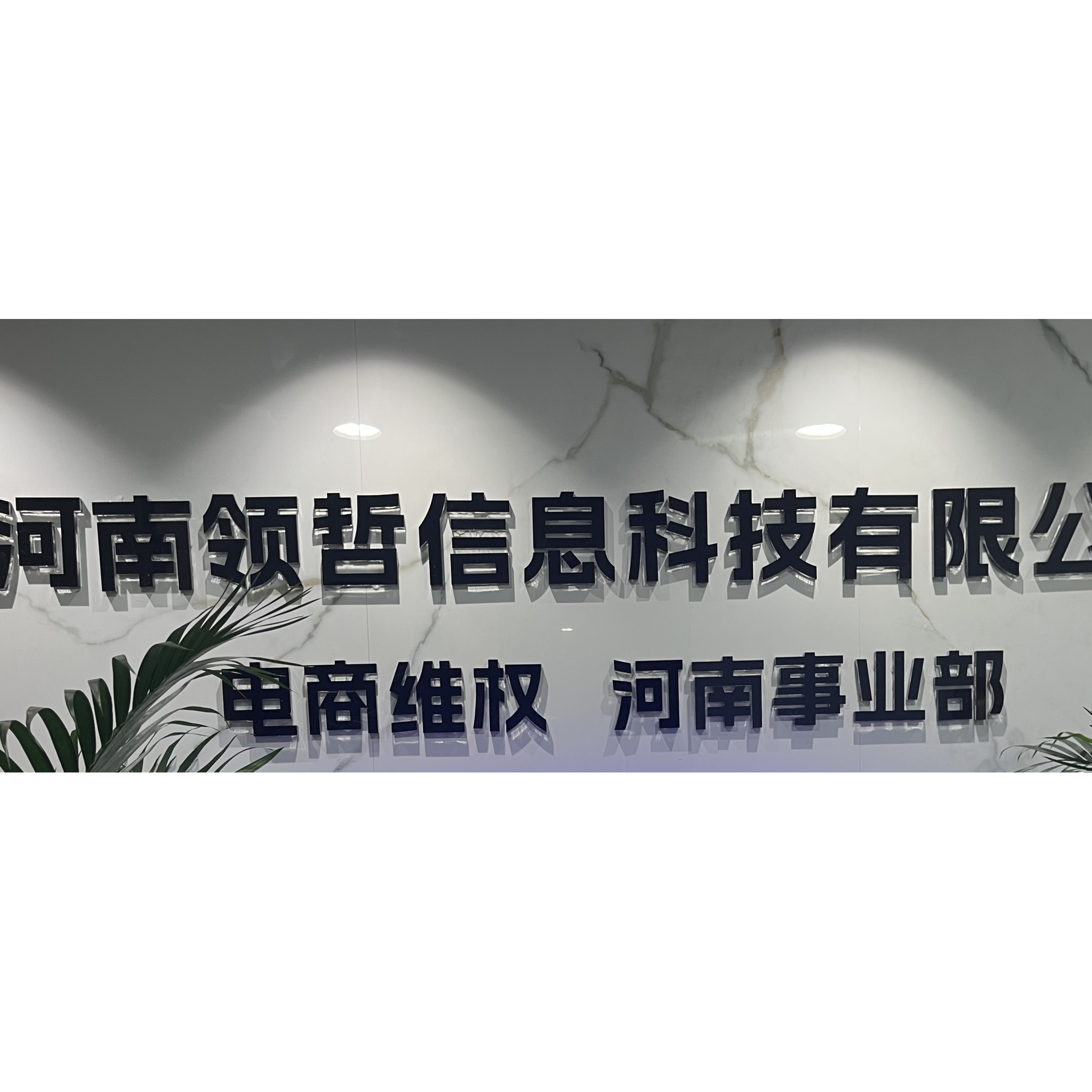 河南领哲信息科技网络有限公司