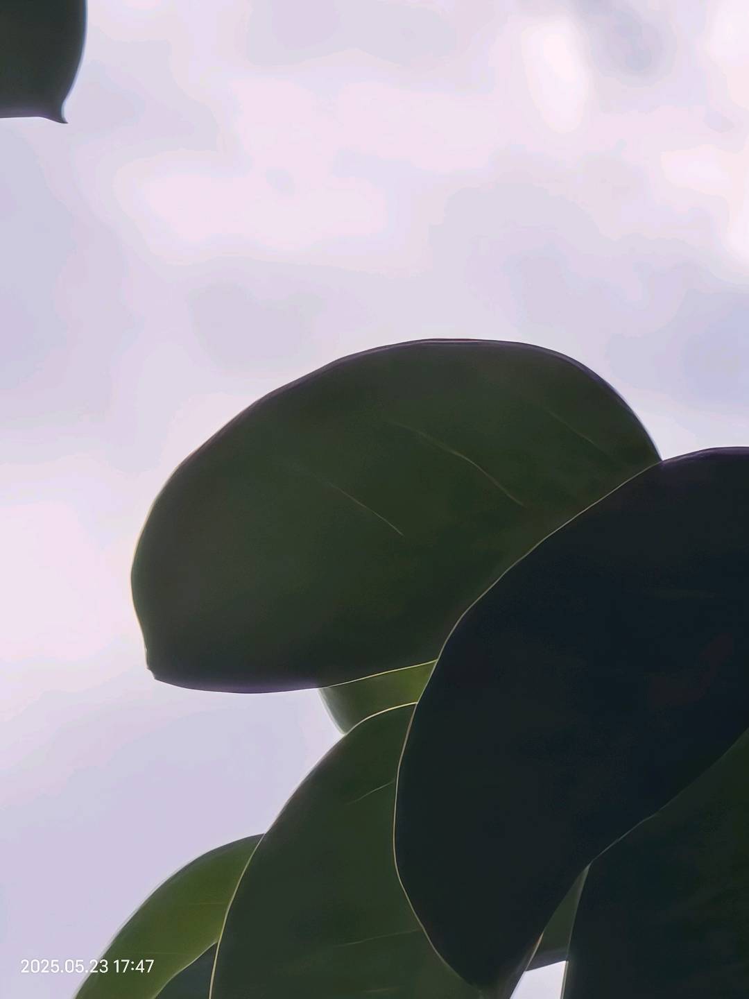 私人工作室