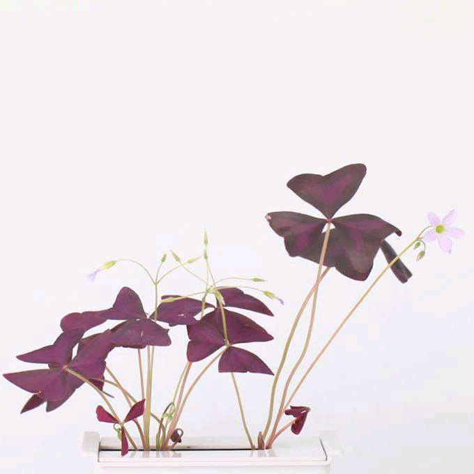 唐山国超文化发展有限公司