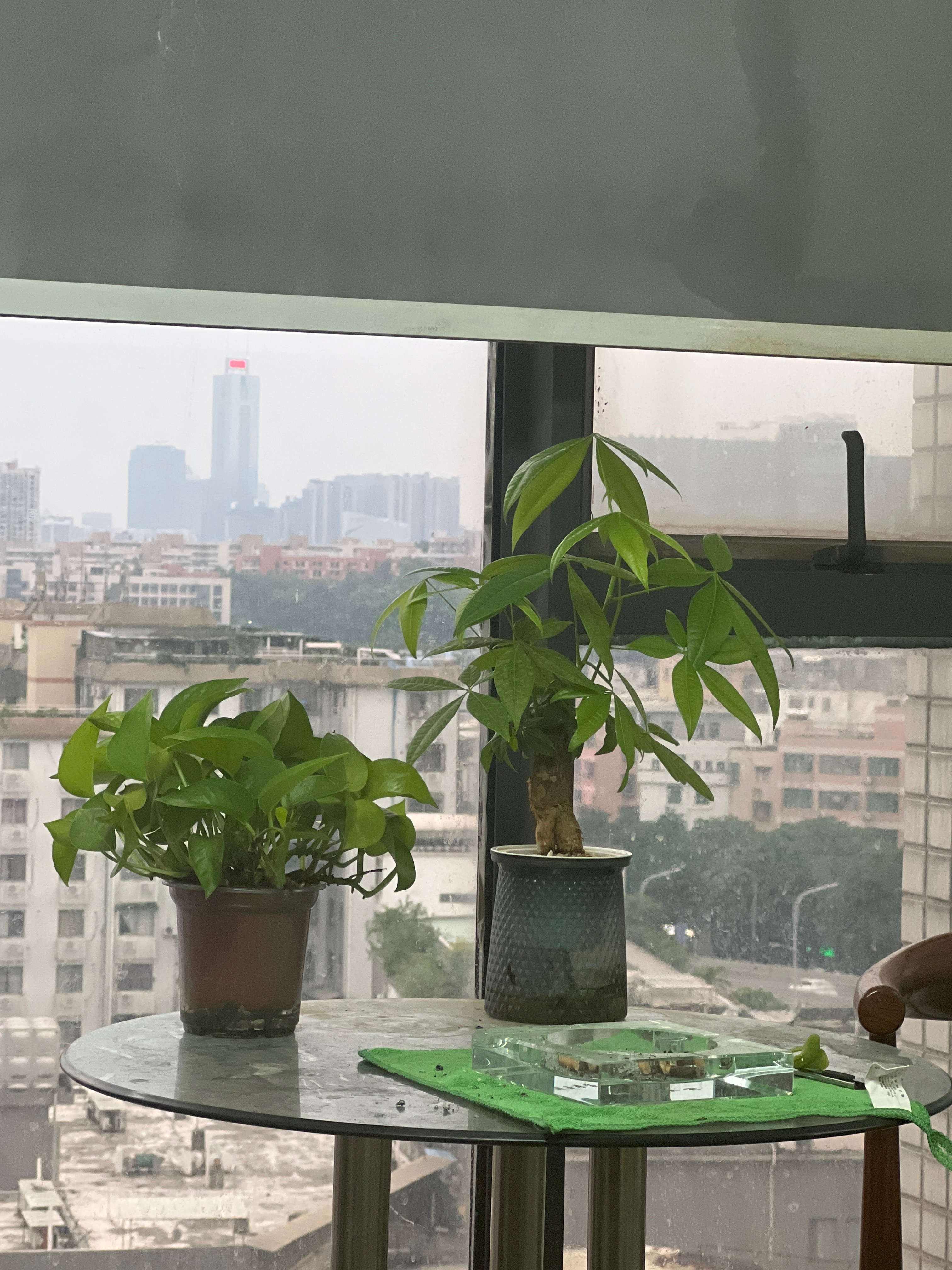 广州笙歌