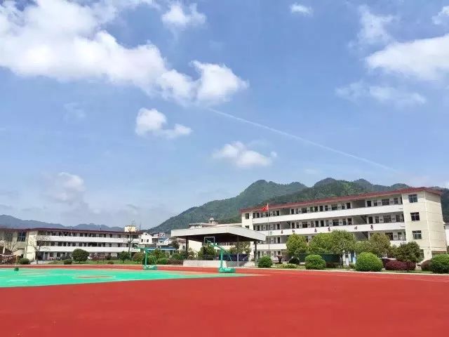 学校可合作入校项目