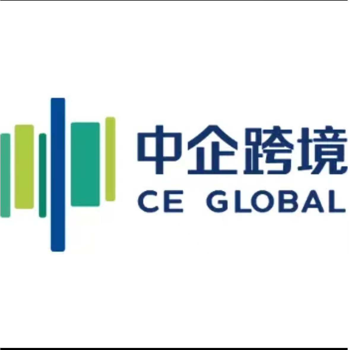海外跨境独立站搭建+自媒运营