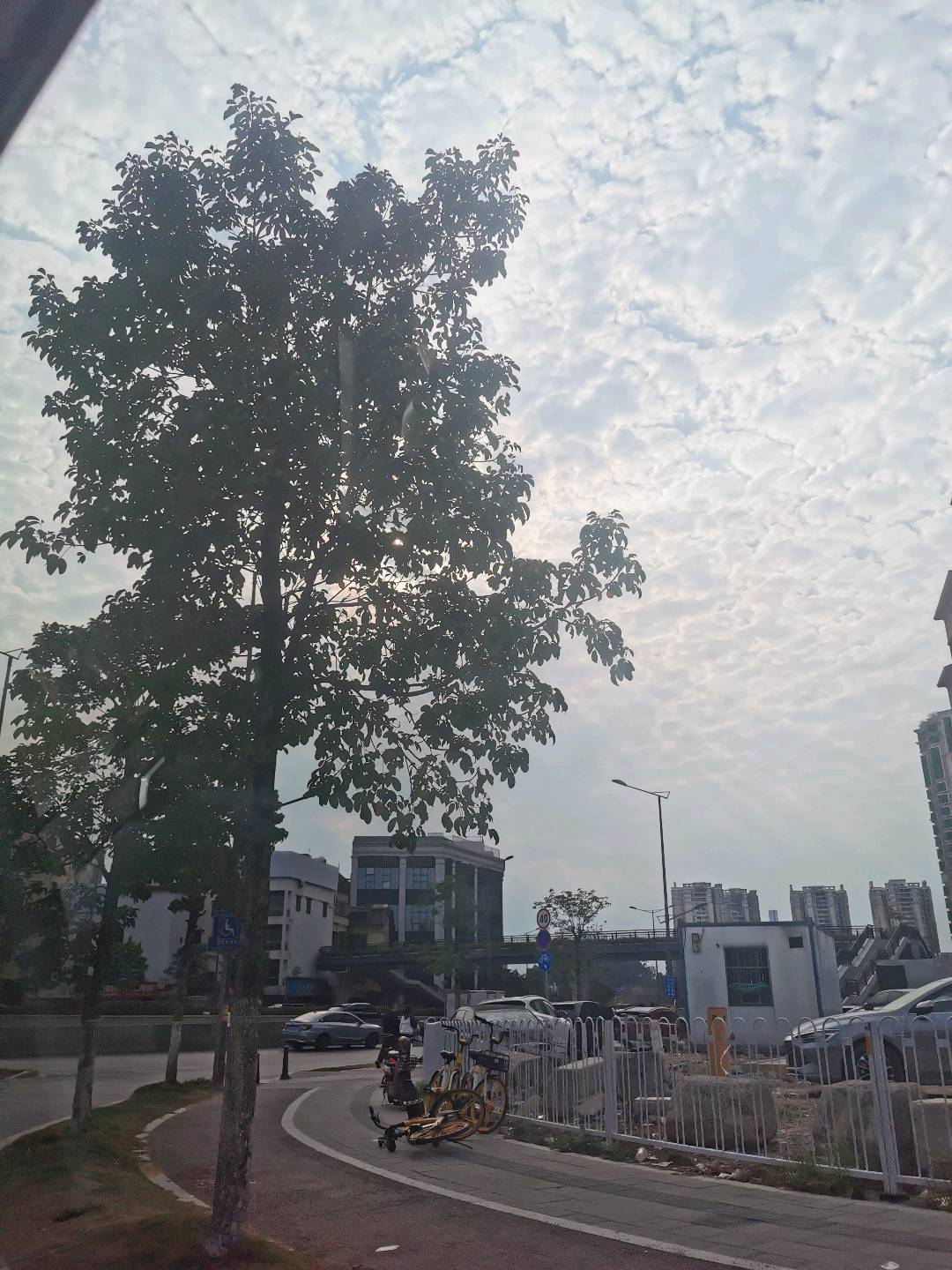 深圳开会展有限公司