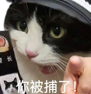 在校研究生兼职赚钱