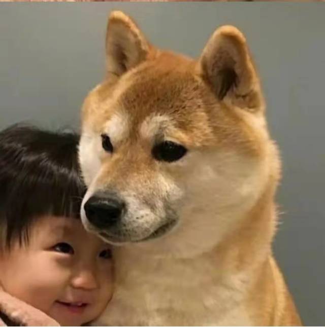 橙仁用品免费招募分销