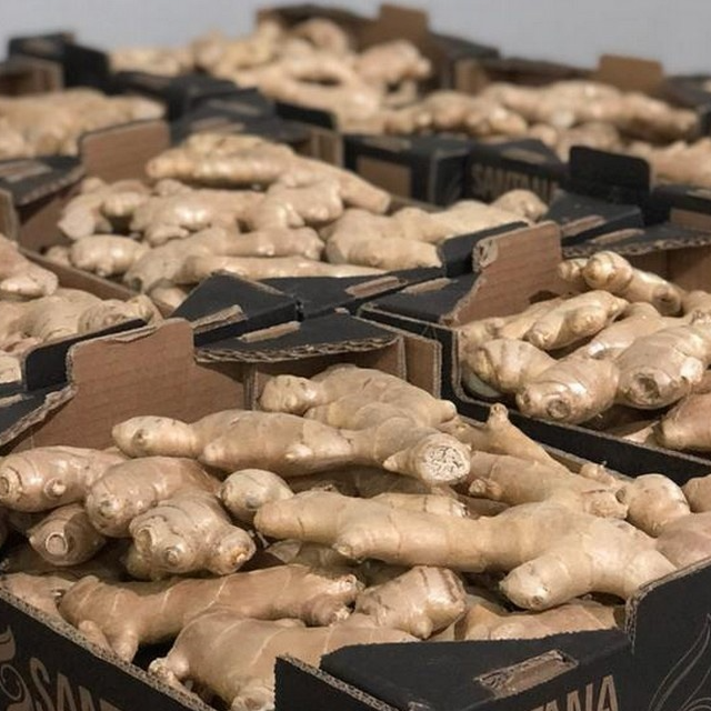 world ginger