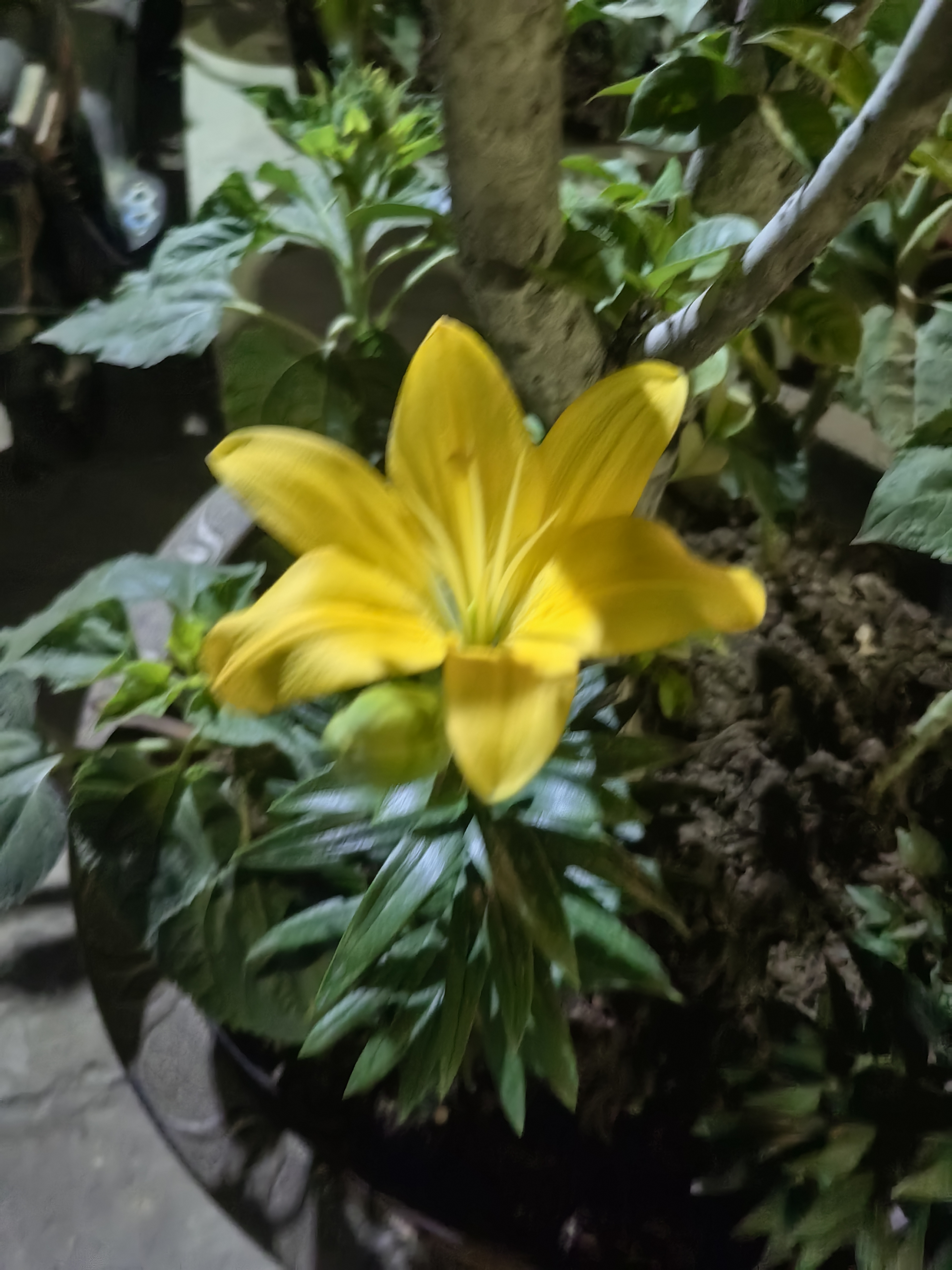 鑫鑫餐厅