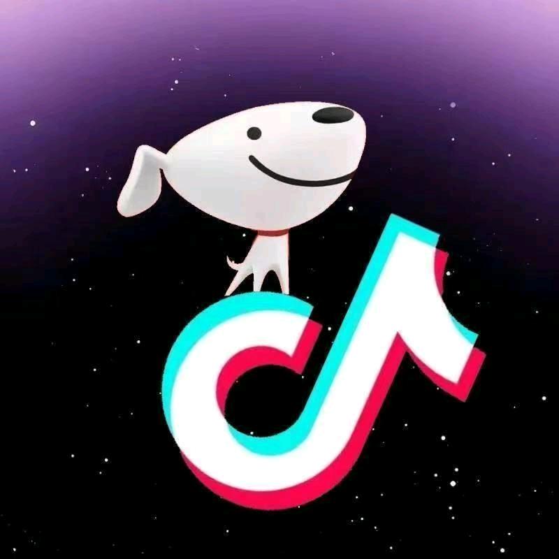 京东+抖音