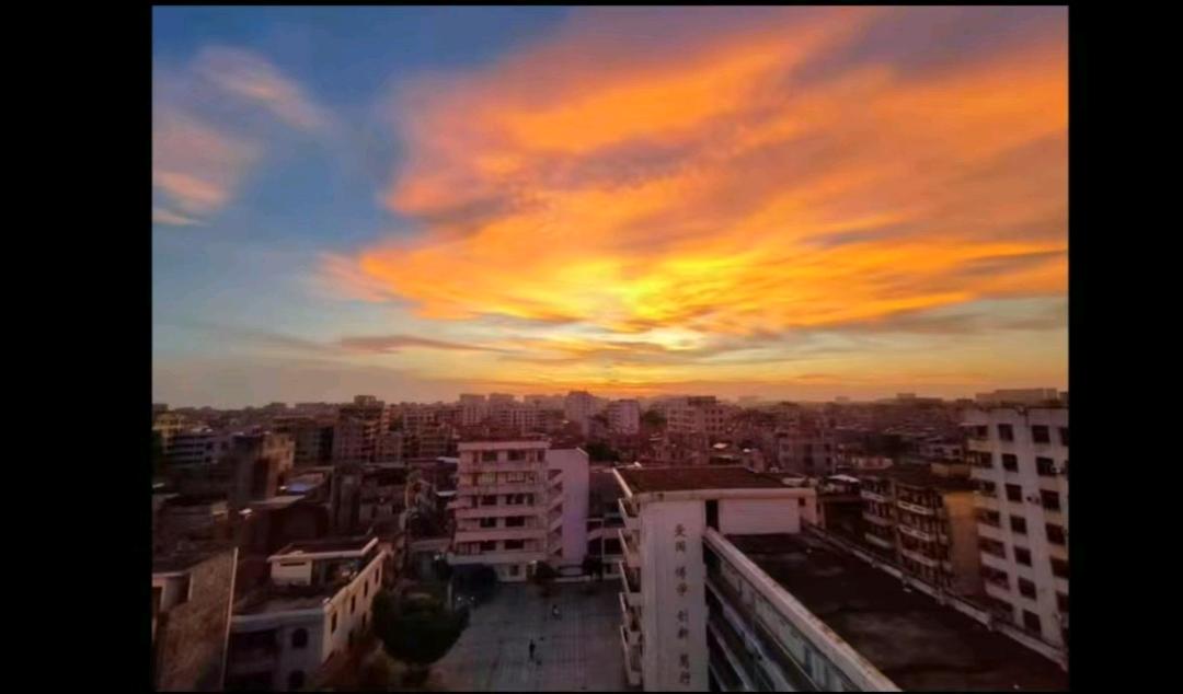 夕阳红军公司
