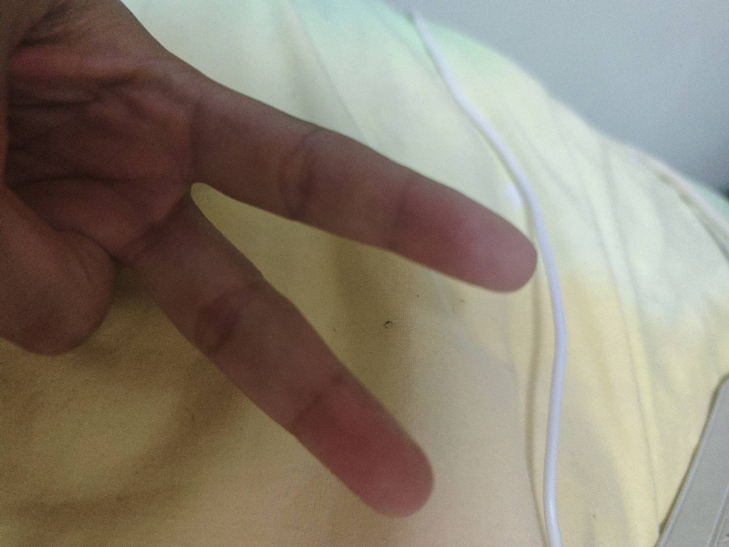 为爱有限公司