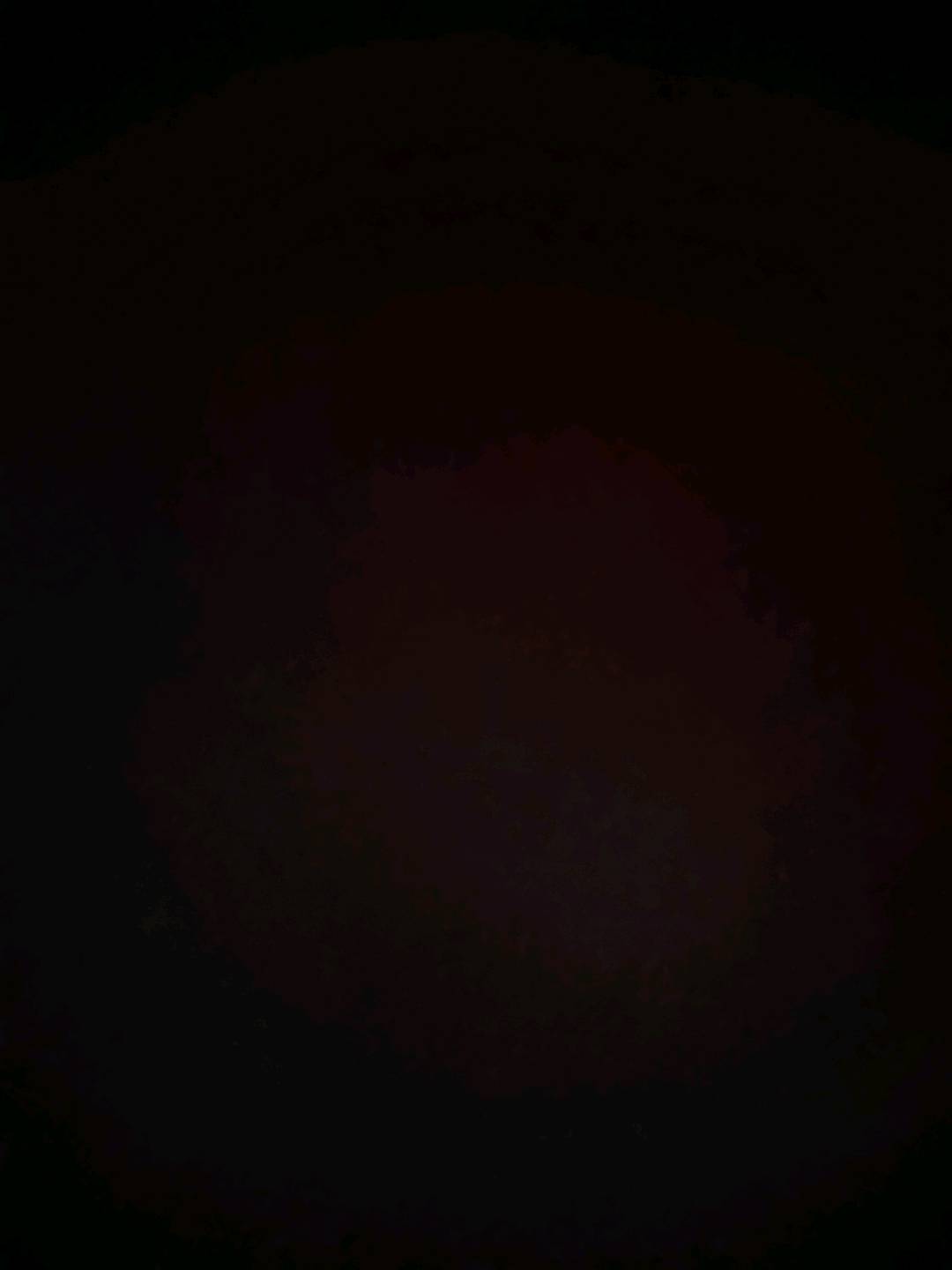 嘿嘿