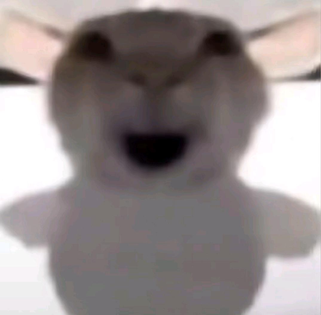 公司