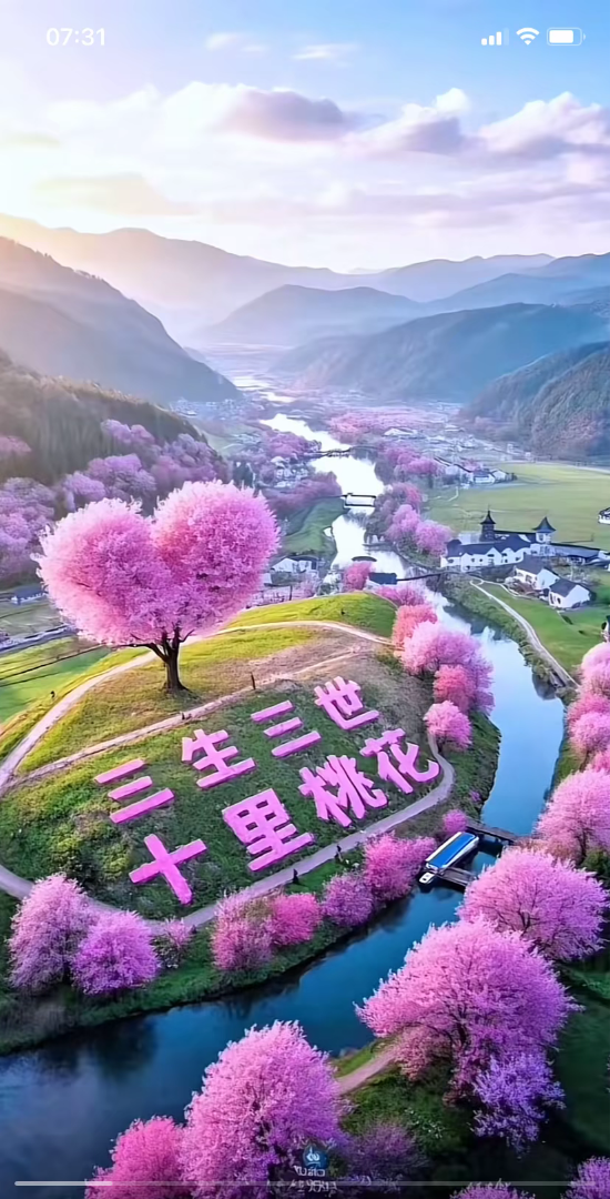 酷进