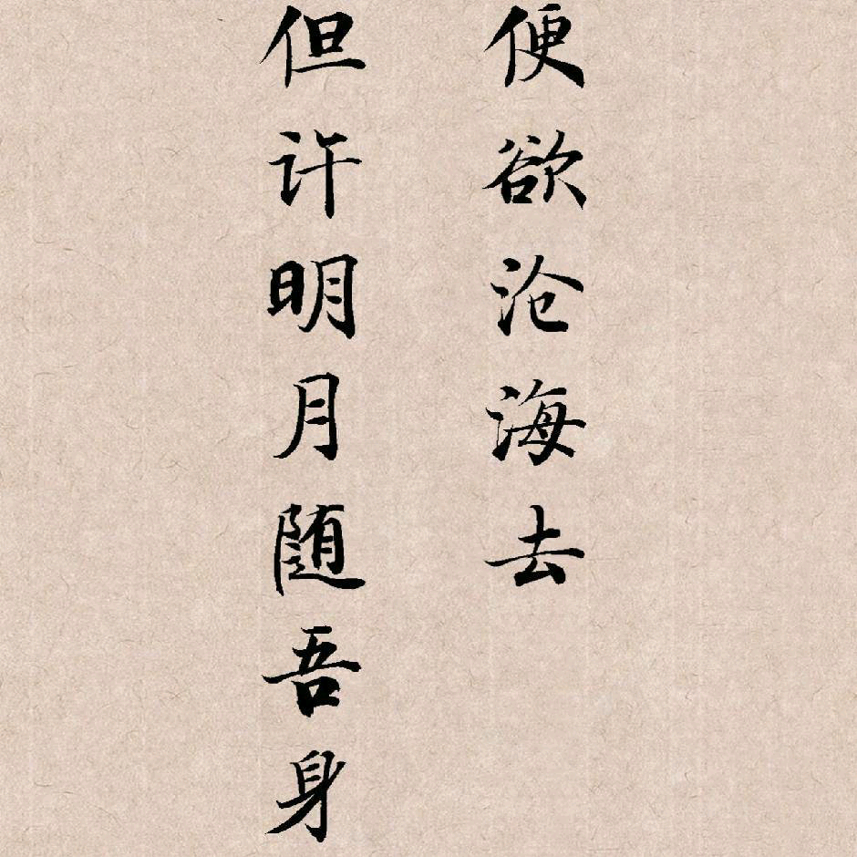 移动电影卷