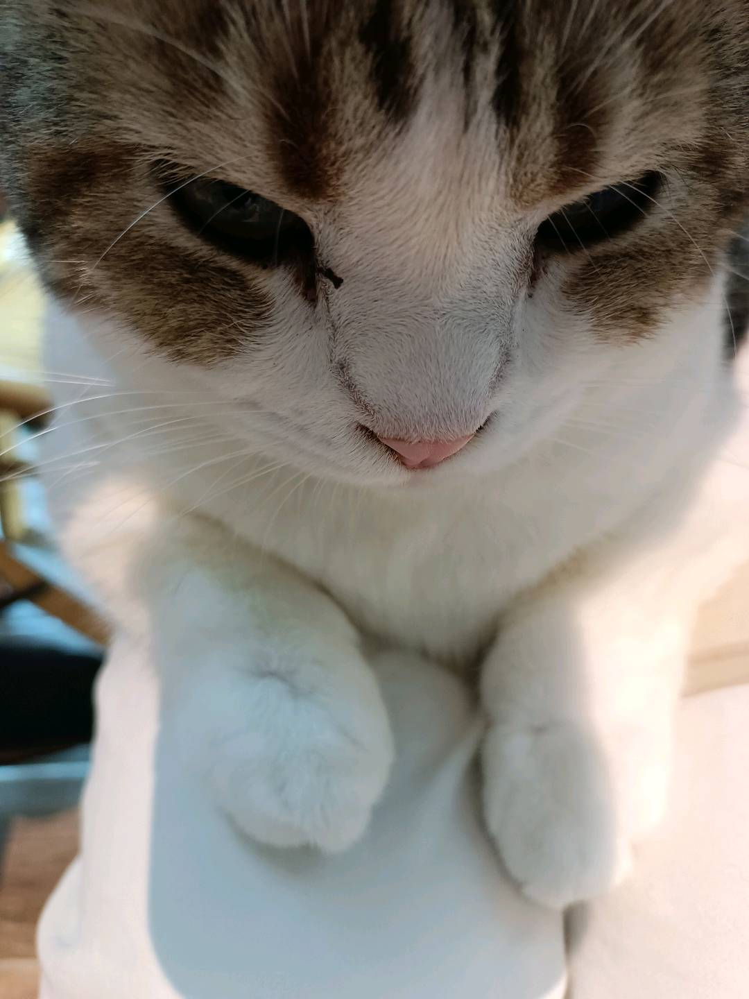学生