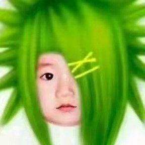 子枫有限公司