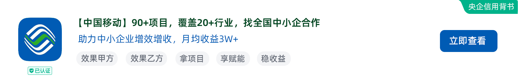 山东移动政企