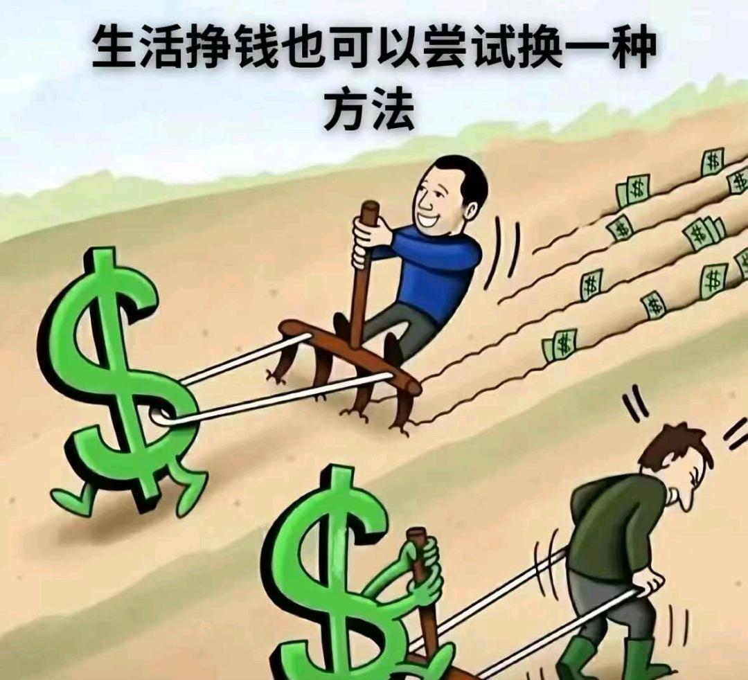 山东青树藤有限公司
