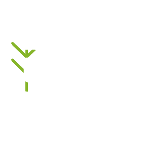 淘森出海咨询公司：一站式助力连锁品牌抢占国际市场，开放全球合伙人招募！