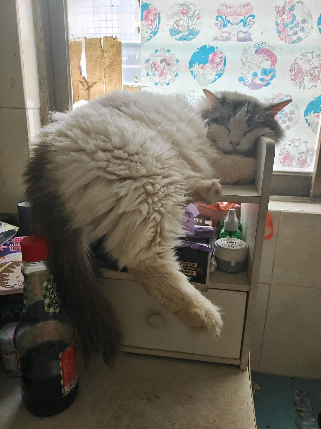嘛呀