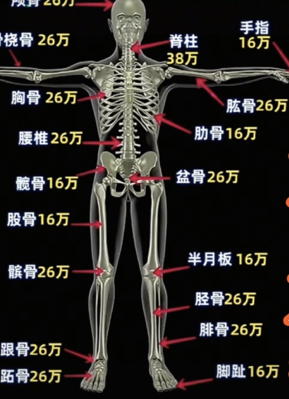 我有专业 找运营