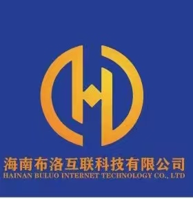 海南布洛互联科技有限公司